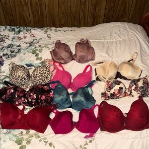 Lane Bryant Women's Bra Collection - Red, Pink, Blue, Cream, Brown